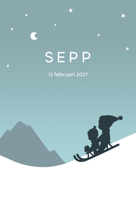 Geboortekaartje twee broertjes silhouet winter slee