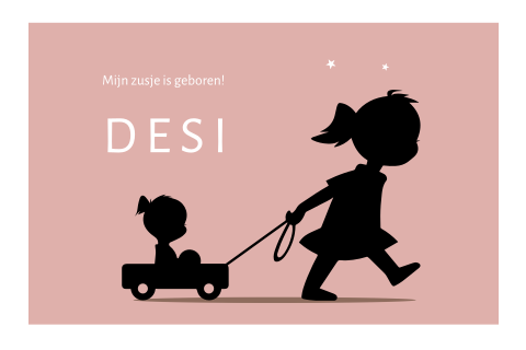 silhouet-twee-meisjes-bolderkar-roze