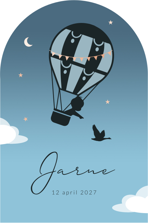 Geboortekaartje jongen luchtballon foliedruk silhouet hemel wolken