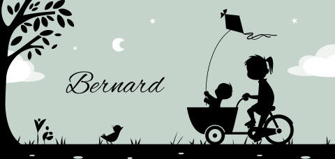 Geboortekaartje zus en broertje silhouet bakfiets vlieger