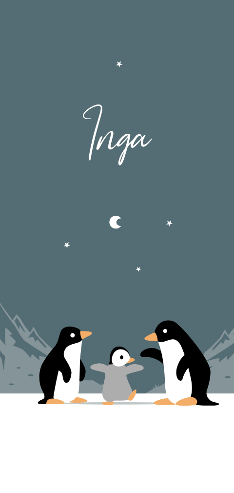 Geboortekaartje enkel drie pinguïns