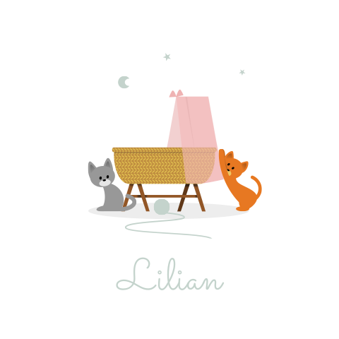 Geboortekaartje katten wieg