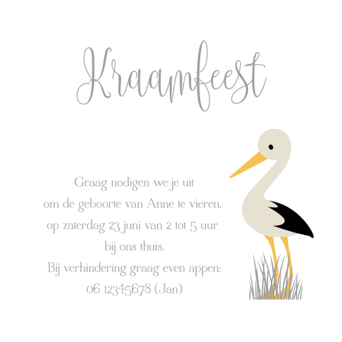 Kraamfeest met ooievaar