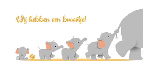 Geboortekaartje vijf olifanten op een rij