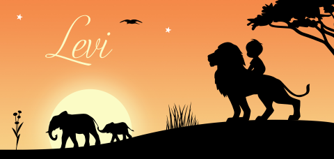 safari jongen leeuw afrika