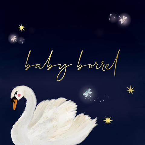 Kraamborrel wilde zwanen blauw vierkant