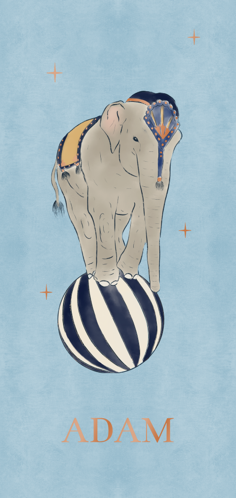 Geboortekaartje olifant op circusbal blauw