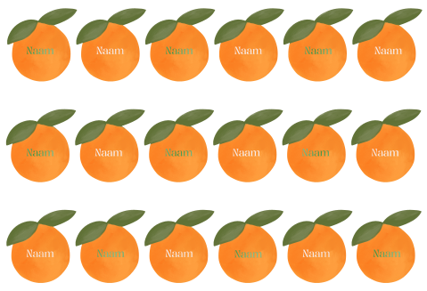 Naamkaartjes sinaasappels