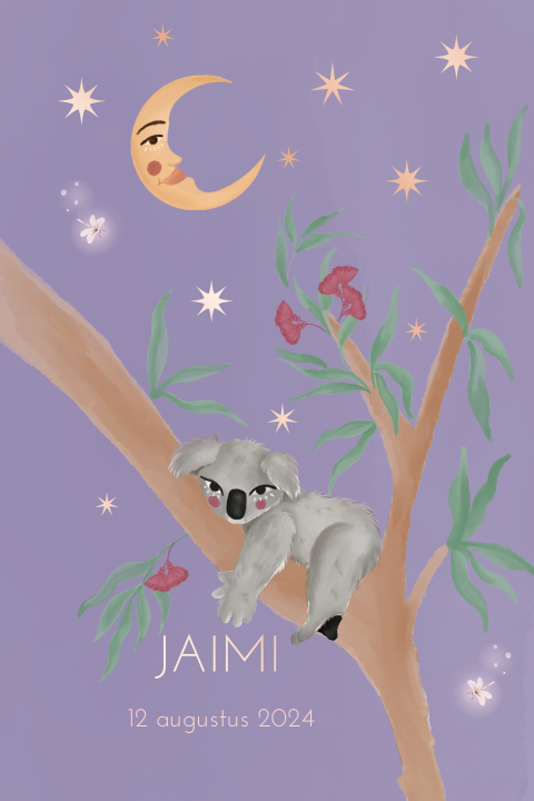 Poster koala lila