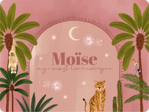 Memorybox jungle roze