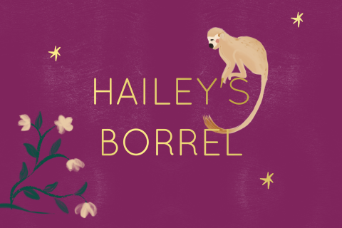 Kraamborrel jungle paars