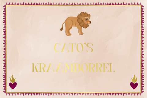 Kraamborrel leeuw rood