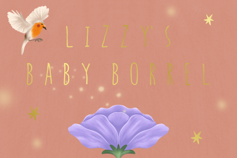 Kraamborrel bloemen en vogels roze