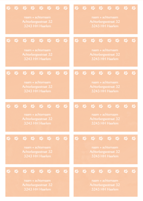 Adresstickers tropische bloemen peach