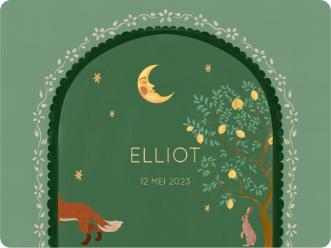 Memorybox vos en de haas groen