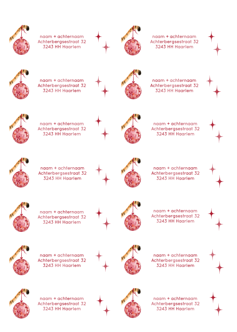 Adresstickers tijger disco