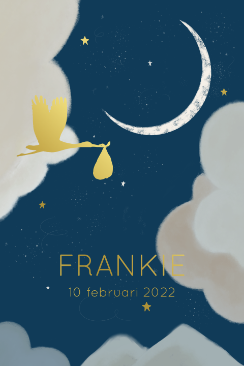 Geboortekaartje ooievaarsvlucht blauw