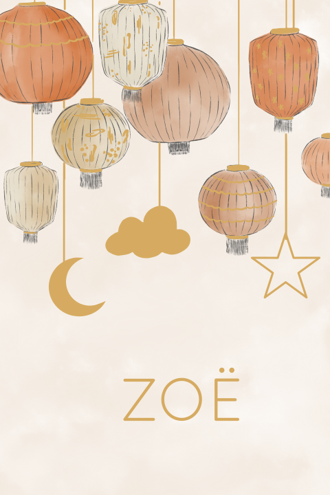 Tuinbord roze lampionnen 40x60 cm