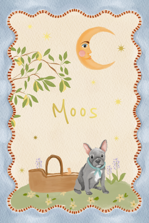 Poster Franse buldog blauw