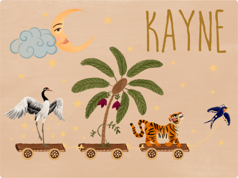 Memorybox jungle beige