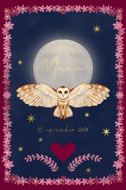 Poster uil en maan roze