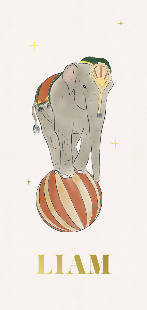 Geboortekaartje olifant op circusbal beige met oranje
