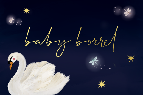 Kraamborrel wilde zwanen blauw