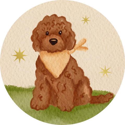 Sluitzegel labradoodle beige