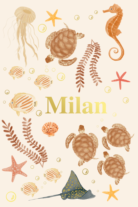 Poster kleurrijk zeethema