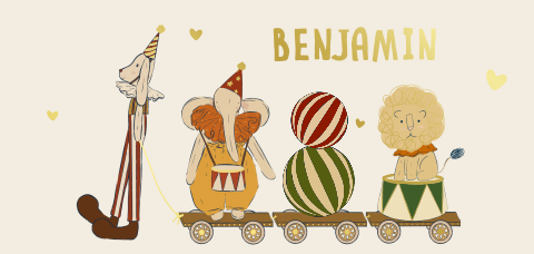 Geboortekaartje circus parade