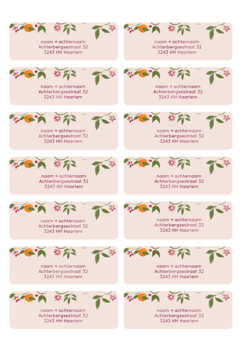 Adresstickers sinaasappels en bloemen