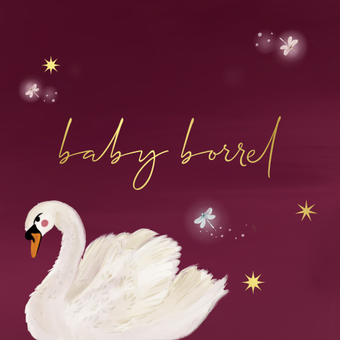 Kraamborrel wilde zwanen rood vierkant