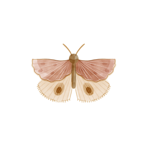 Sluitsticker vlinder