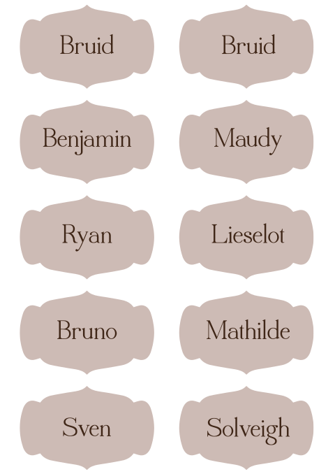 Naamkaartjes beige donkerbruin unieke vorm