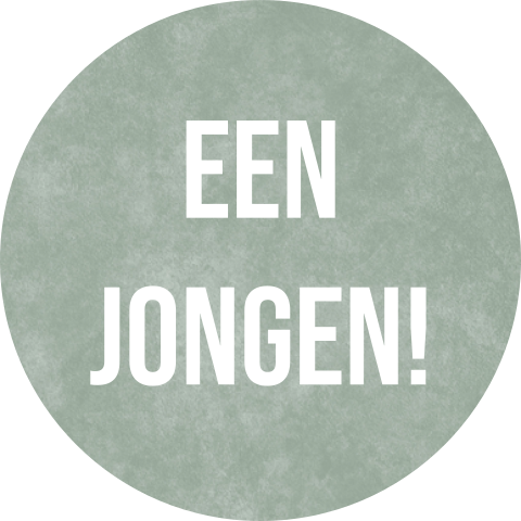Sluitsticker groen velvet
