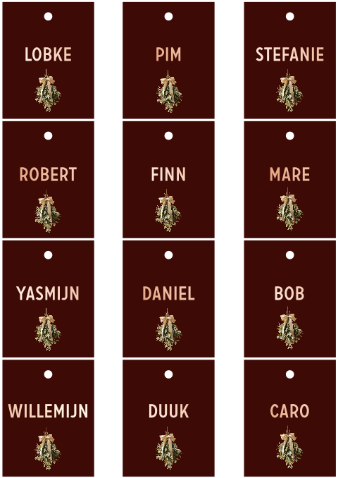 Naamkaartjes bordeaux rosefolie mistletoe