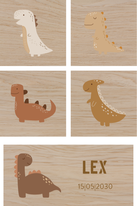Houten blokken bedrukken dinosaurus