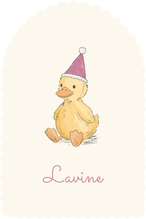 Geboortekaartje boogvorm golfjes eendje muts roze Lavine