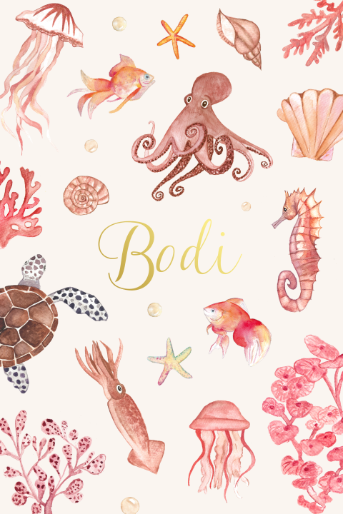 Geboortekaartje Bodi