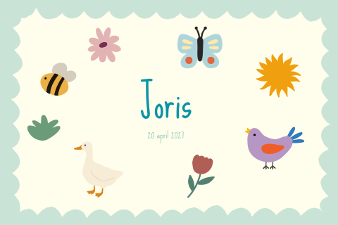 Geboortekaartje Lenteprint randje pastelgroen Joris