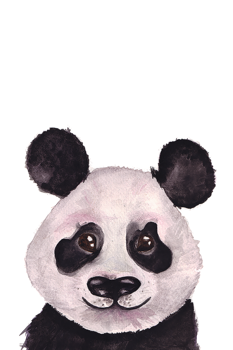 Wenskaart Panda