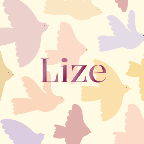 Geboortekaartje vierkant vogelprint lila roze Lize