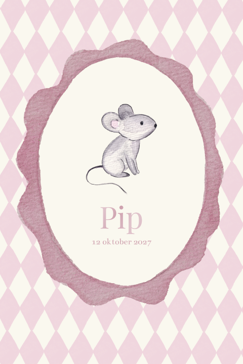 Geboortekaartje Muisje Ruitjes Ruitjes Pip