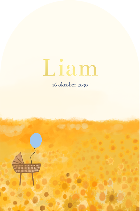 Geboortekaartje landschap zonnebloemveld Liam