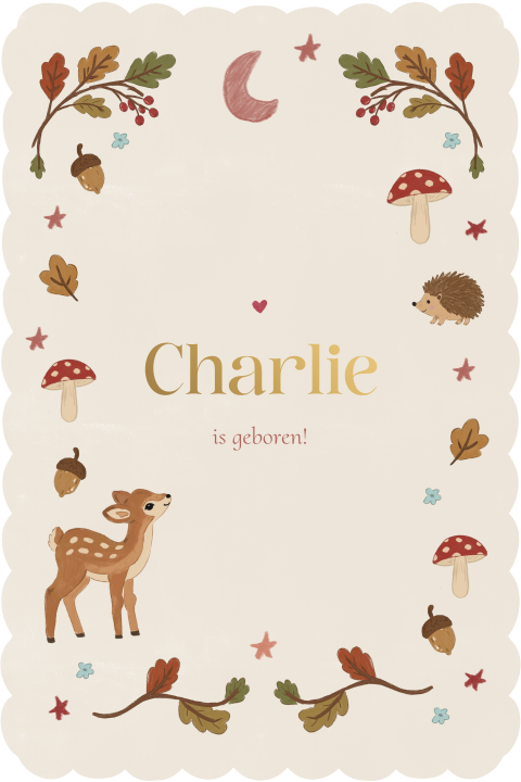 Geboortekaartje Golfjes Herfst Charlie
