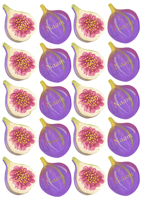 Naamkaartjes Vijgen Marjolein Erik