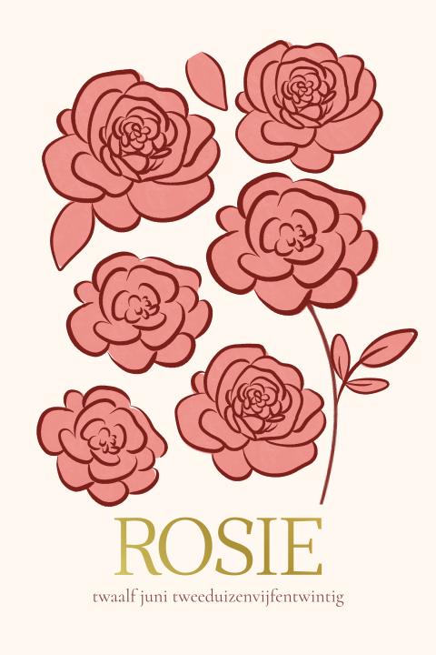 Geboortekaartje Rozen