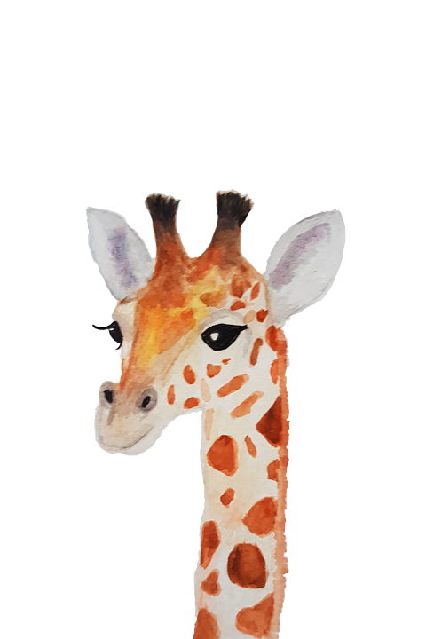 Wenskaart Giraffe