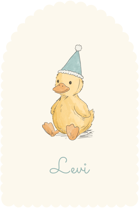 Geboortekaartje boogvorm golfjes eendje muts blauw Levi