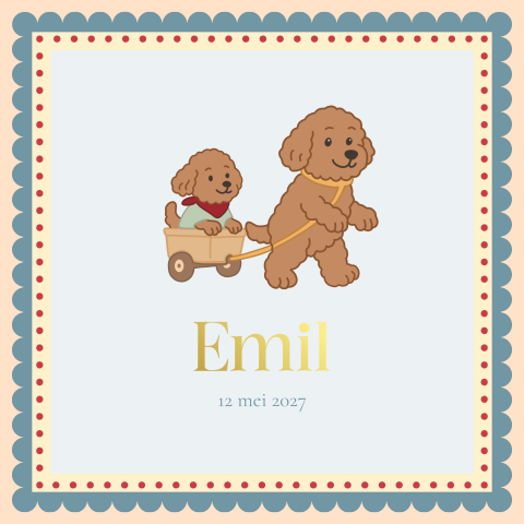 Geboortekaartje Honden Zus Broertje beige blauw Emil